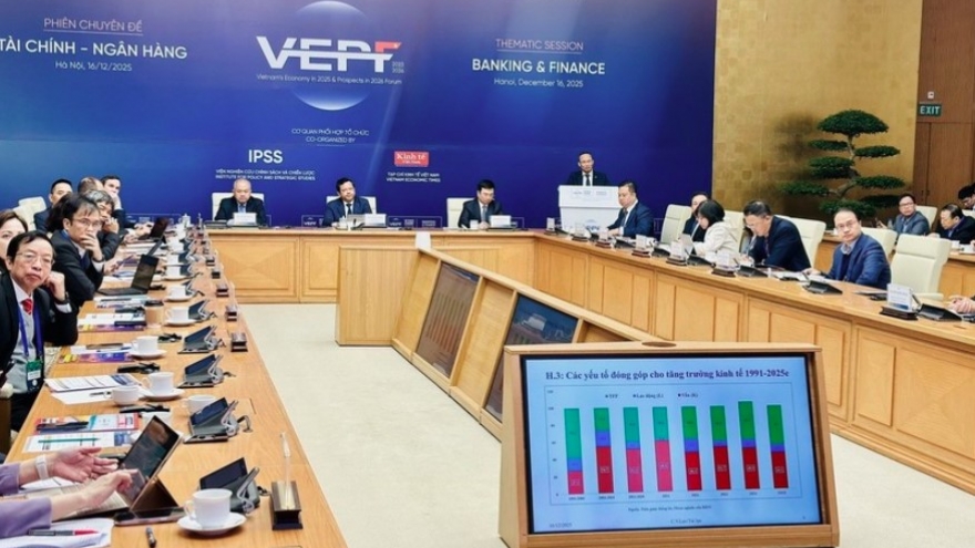 Vietnam economic forum 2025: balancing high growth and sustainability